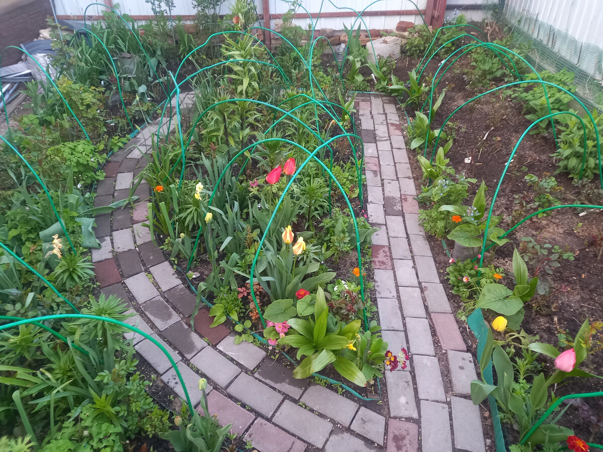 2022год, роз еще с сотню добавилось. Ну и луковичные никто не отменял.