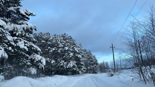 Снежная зима радует !🌲🌲05.12.2023