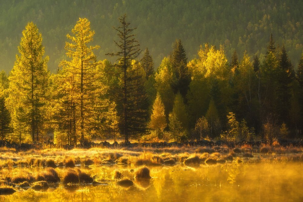 Фотография использована в иллюстративных целях и взята из всеобщего доступа Яндекс-фото