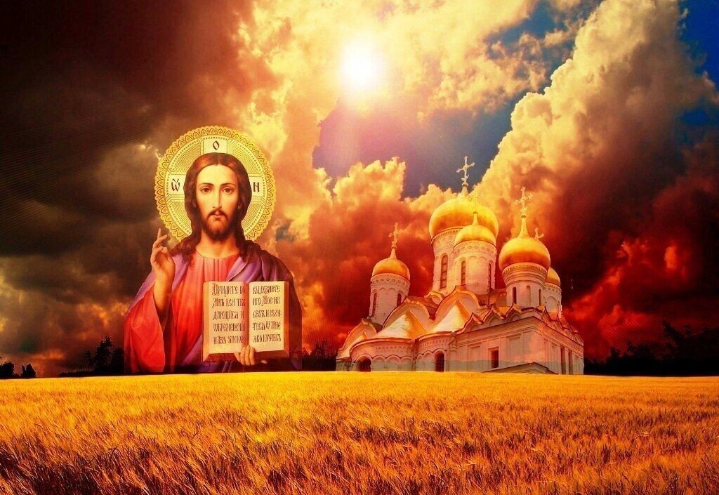 Спасите наши души. Спасите славу. Спасенные жизни картинки. Срочно сос. Крик о помощи зверей.
