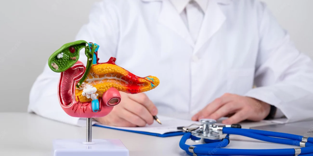 Зачем нужна желчь и как нормализовать ее отток?