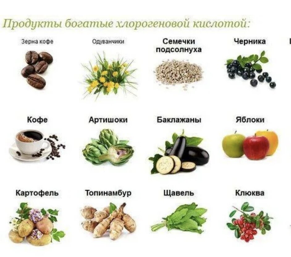 Какие продукты содержат кислоты. Хлорогеновая кислота в продуктах. Продукты богатые инулином. Где содержится хлорогеновая кислота. Хлорогеновой кислоты содержится.