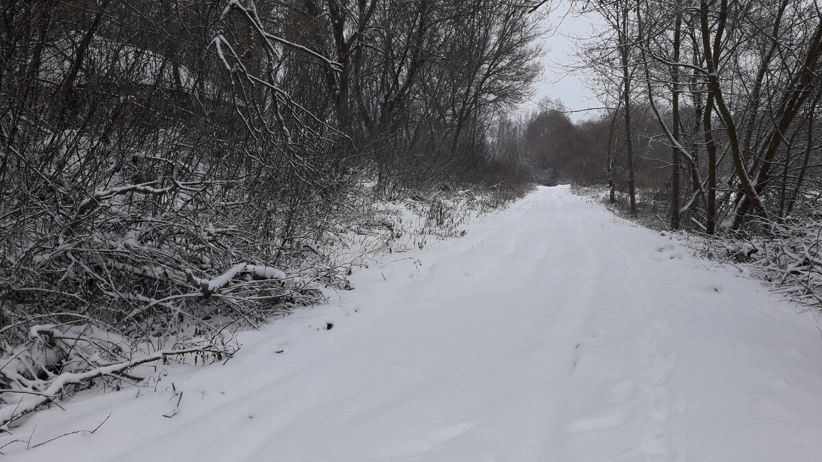 Дорога домой после снегопада