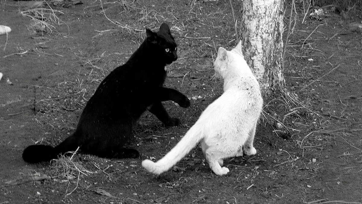 источник фото: img-fotki.yandex.ru