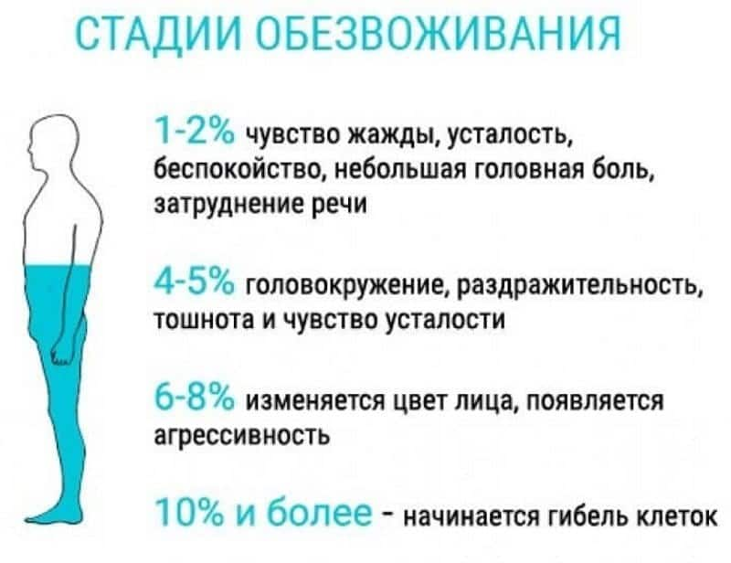 Иллюстрация взята с сайта vseglisty