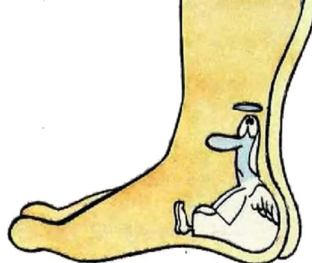 Рисунок  из открытых источников