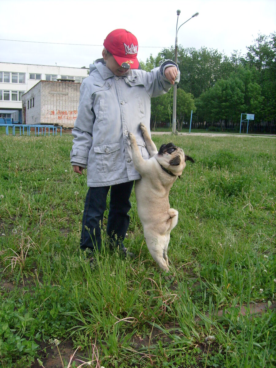 Мужчина целует ноги женщине, что это значит