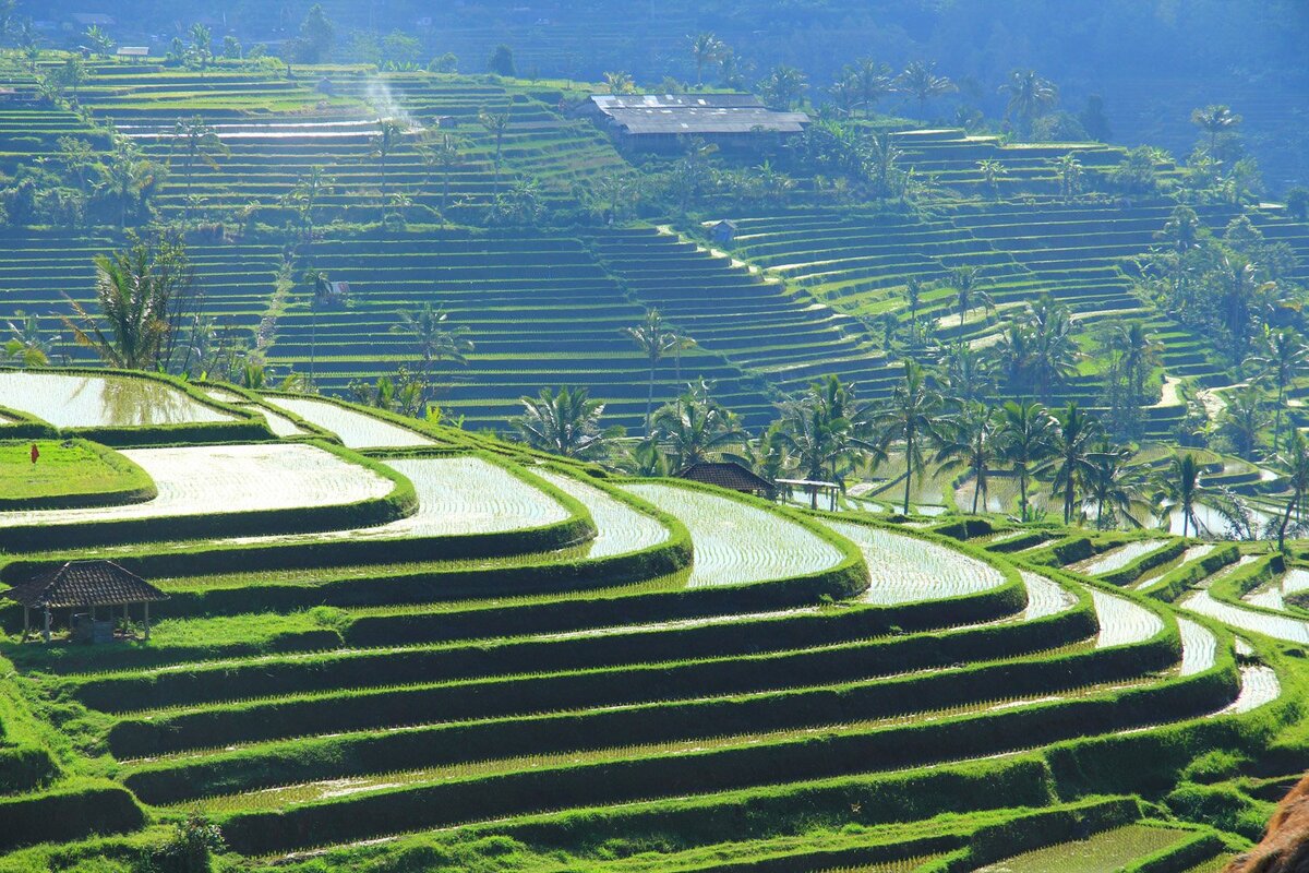 https://mykaleidoscope.ru/x/uploads/posts/2022-10/1666388244_25-mykaleidoscope-ru-p-risovie-terrasi-ubud-pinterest-29.jpg