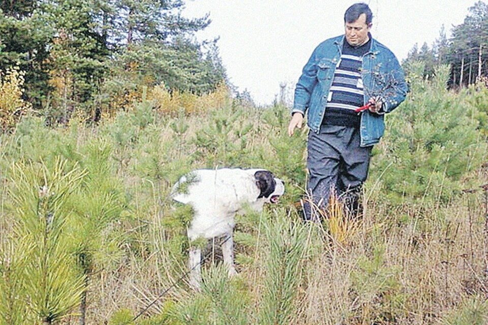 Валерий Сулимов на своей единственной фотографии в соцсетях
