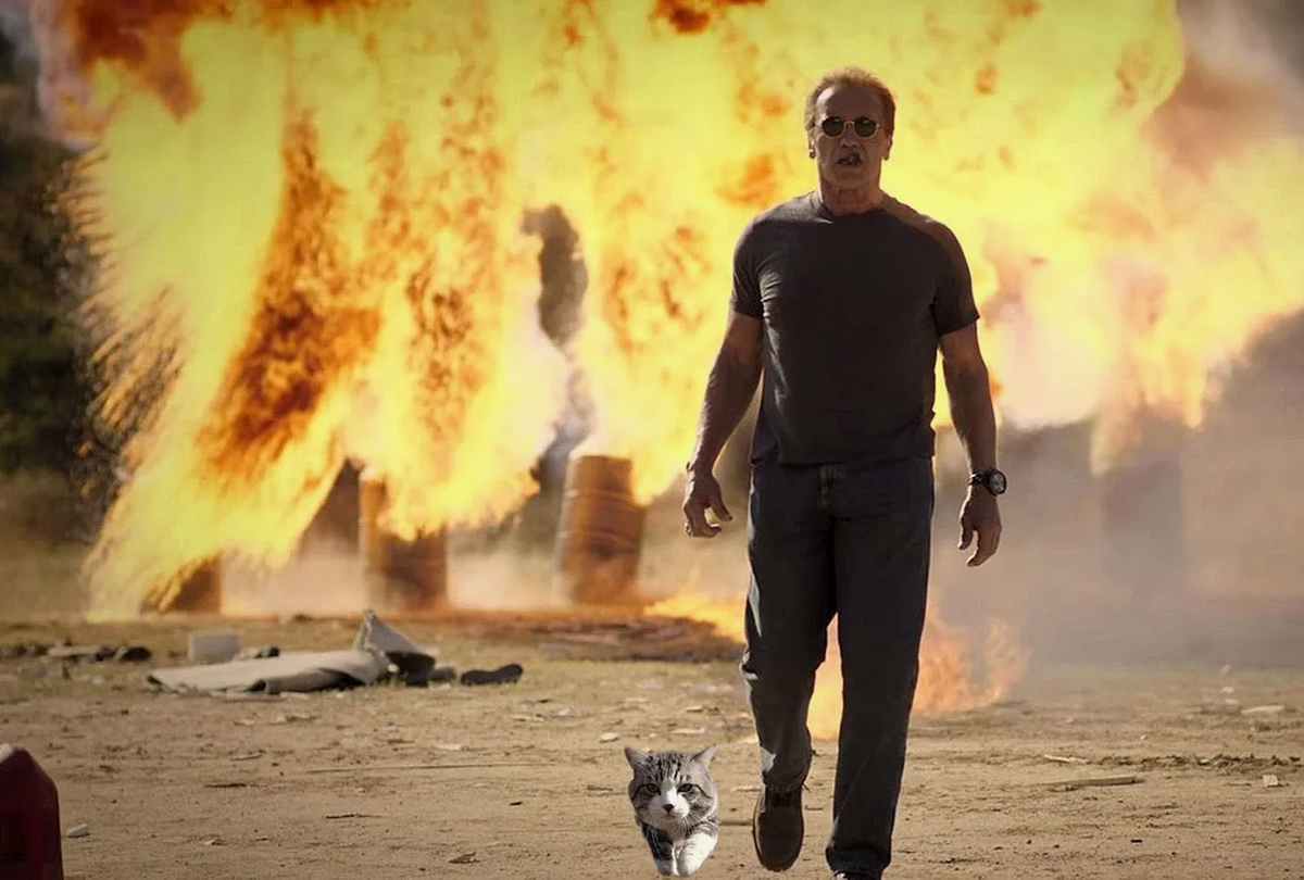 Идём с котом под взрывОм ... вдвоём ...