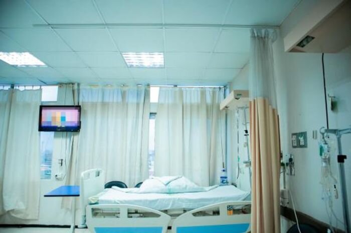 Источник фото: wikimedia