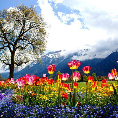 Картина своими руками от Мари Мари))) Как же красиво...