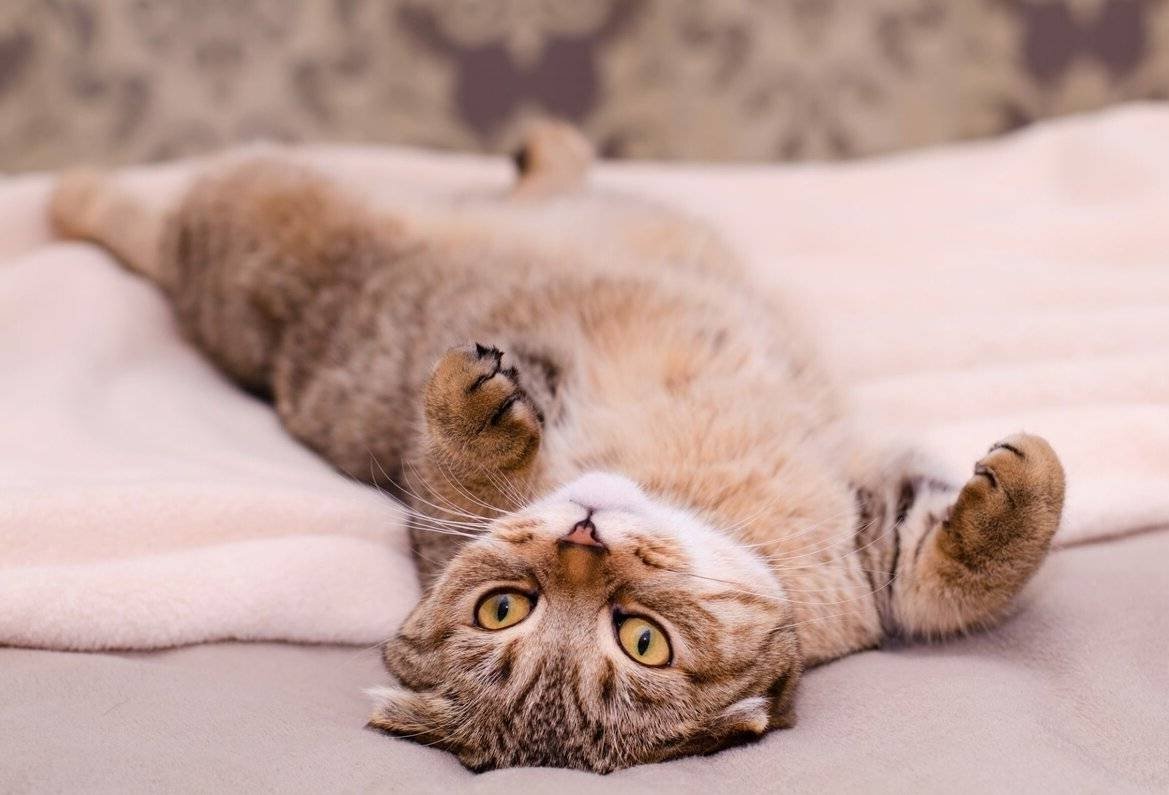 Фото из Интернета.