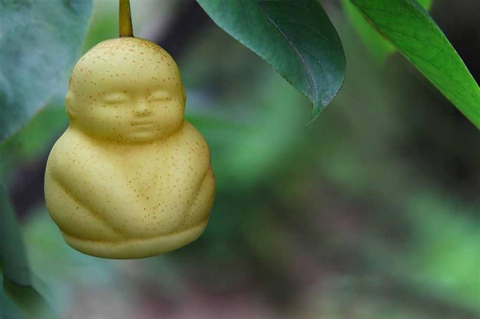 Самая обычная груша