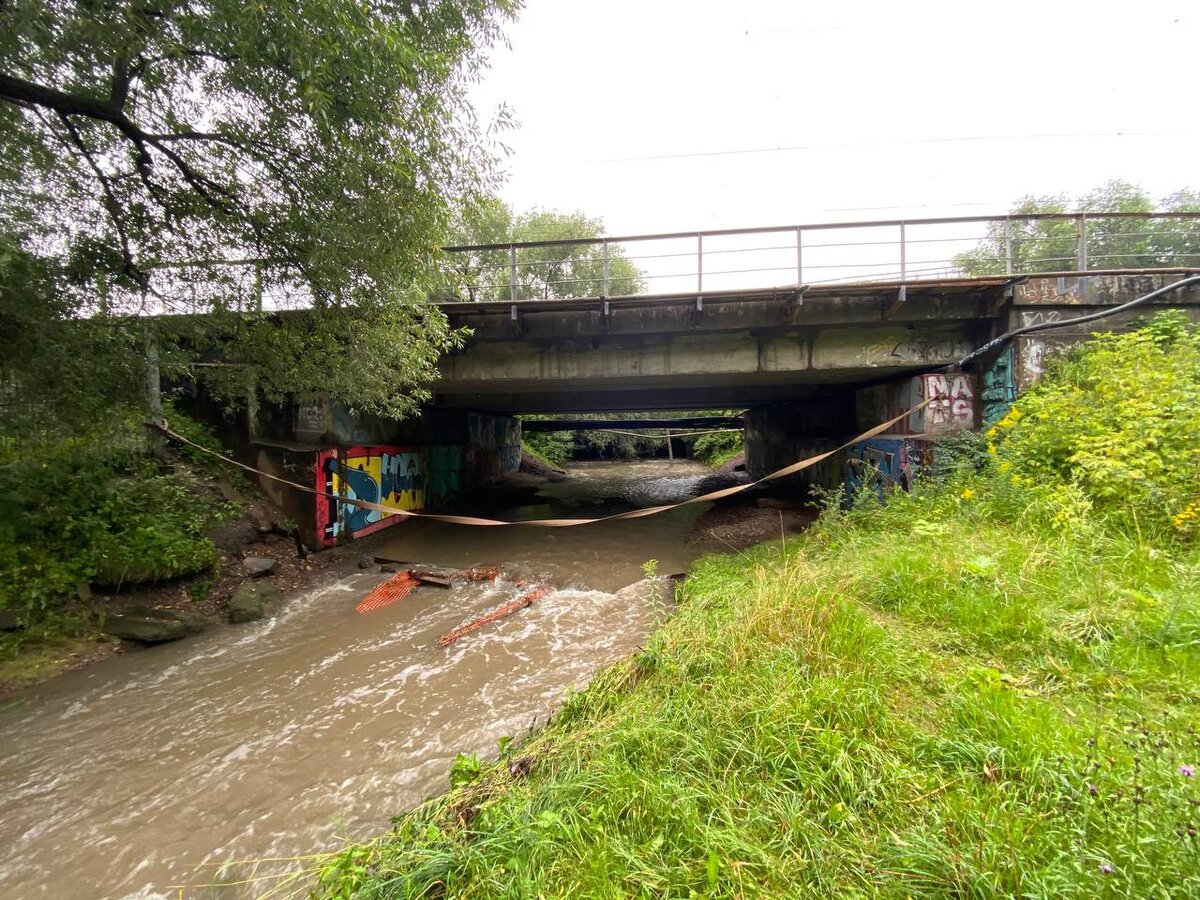 Для строительства моста я выбрал живописное местечко на реке Чертановка рядом с моим домом