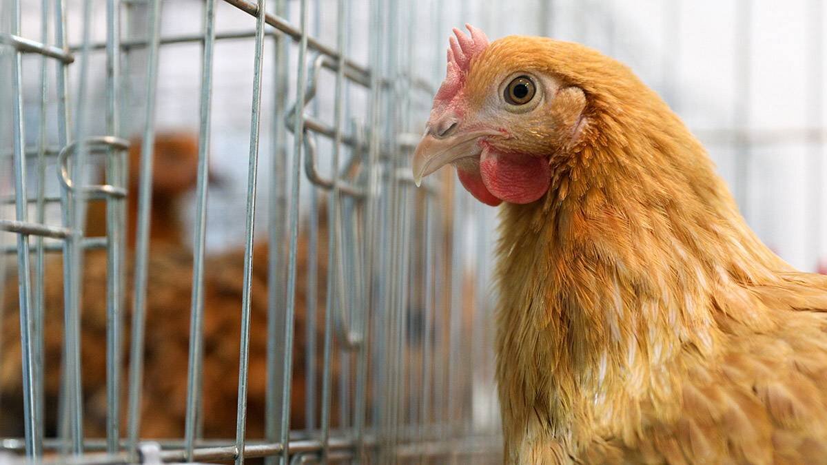    Фото: Кирилл Зыков / АГН Москва