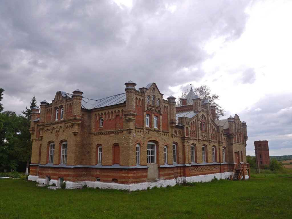 Сафоновка. Замок Сафоновка Курская. Сафоновка Курская область усадьба. Дворец для любимой Сафоновка Курская область.