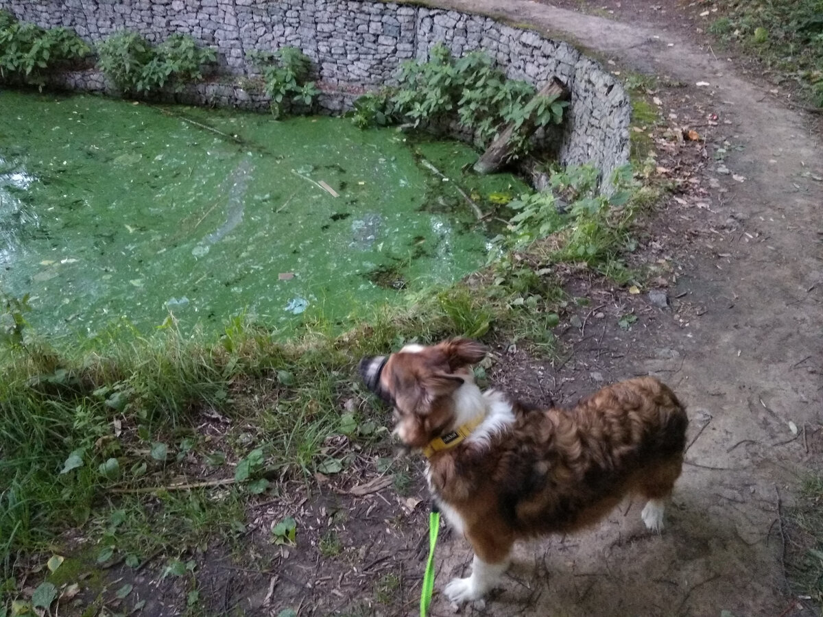 Фото в день, когда меня первый раз вызвали на пересадку. И я отказалась.
