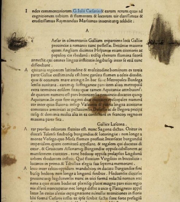 Commentarii de bello Gallico