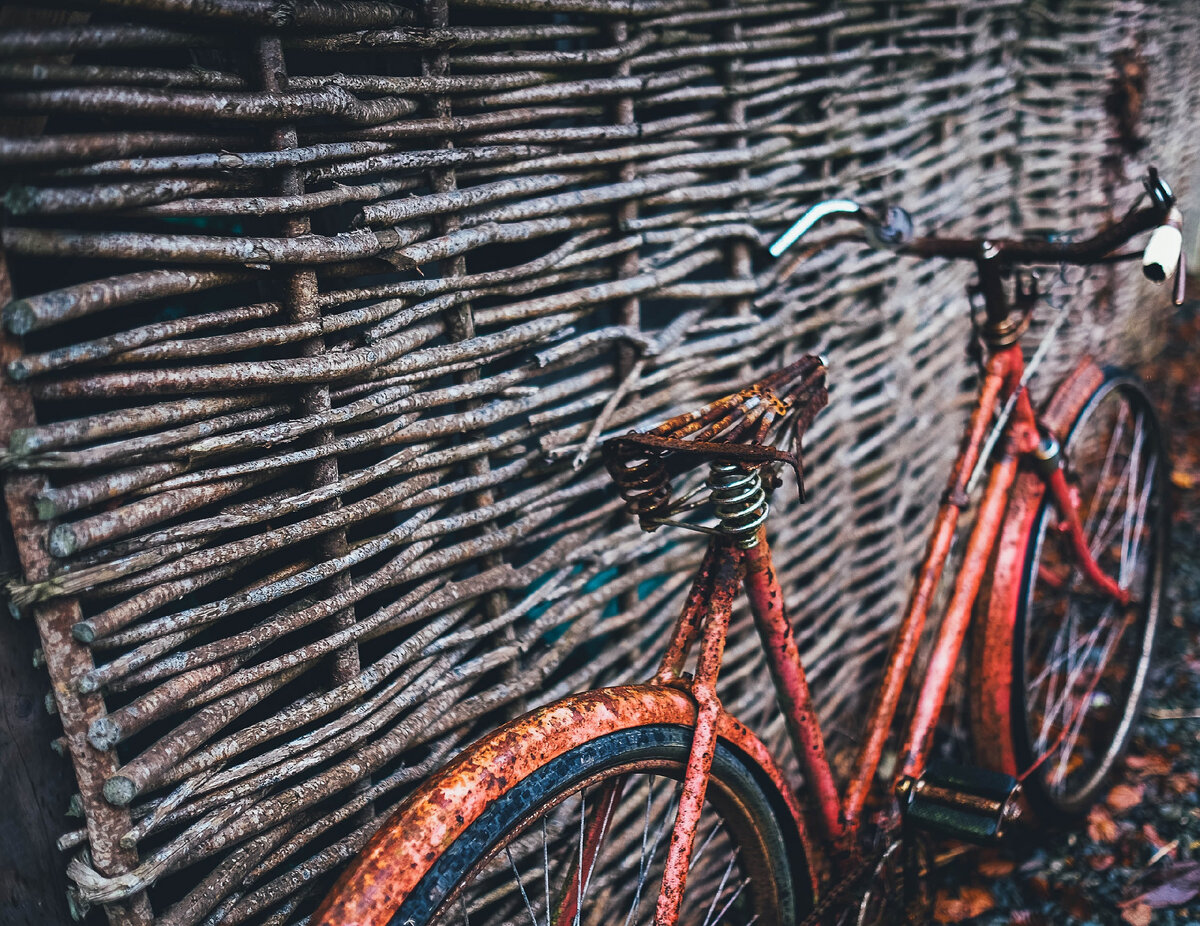 Источник: фотобанк Unsplash
