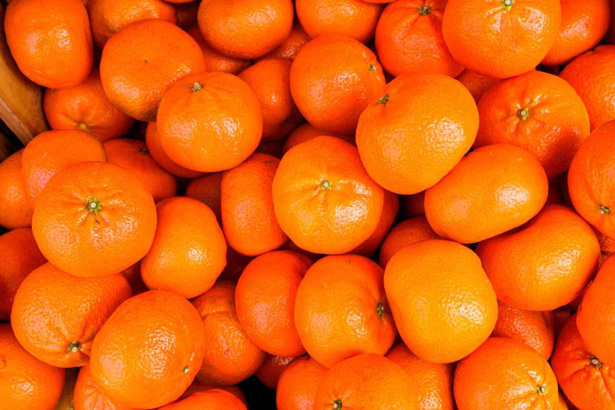    Фото: Fotoluminate LLC / Shutterstock.com