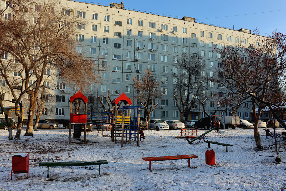 Дом, подъезд детства и куст барбариса. | Между нами | Дзен