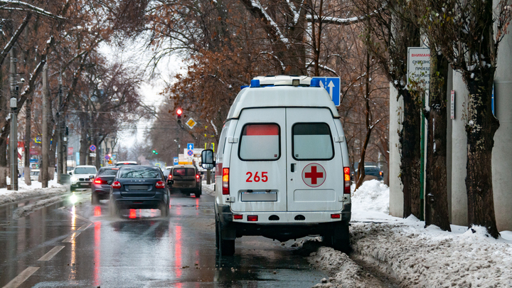 © SVETLANA VOZMILOVA/GLOBALLOOKPRESS 