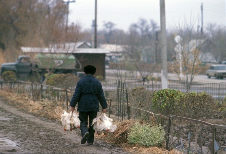 © VIKTOR GRITSUK/RUSSIAN LOOK