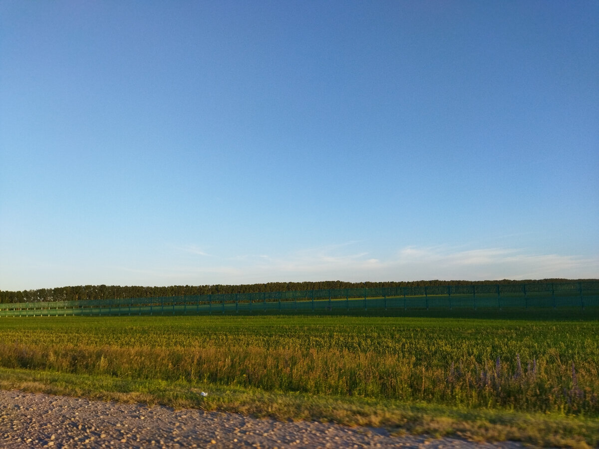 это дорога в направлении г. Бийск 