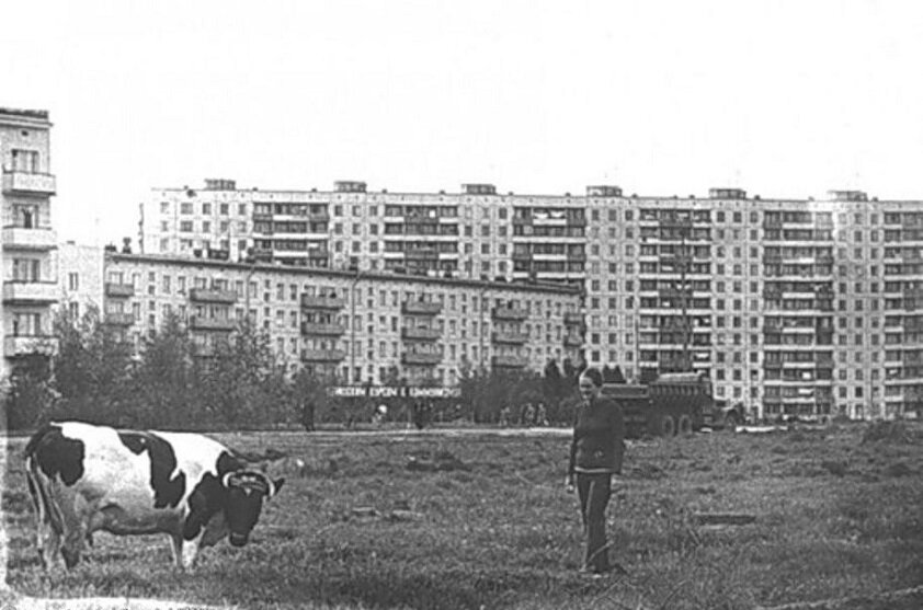 Деревня сосенки старые фото Непарадные фотографии Москвы 1970-х годов Филиал Карамзина Дзен