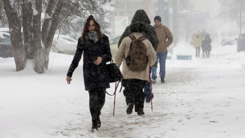     Снегопад в Барнауле. Анна Зайкова
