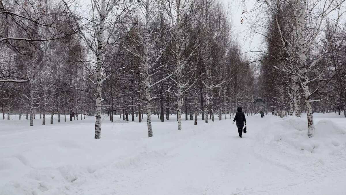     В ХМАО крепчают морозы. В среду, 6 декабря, температура ночью опускалась до -43.