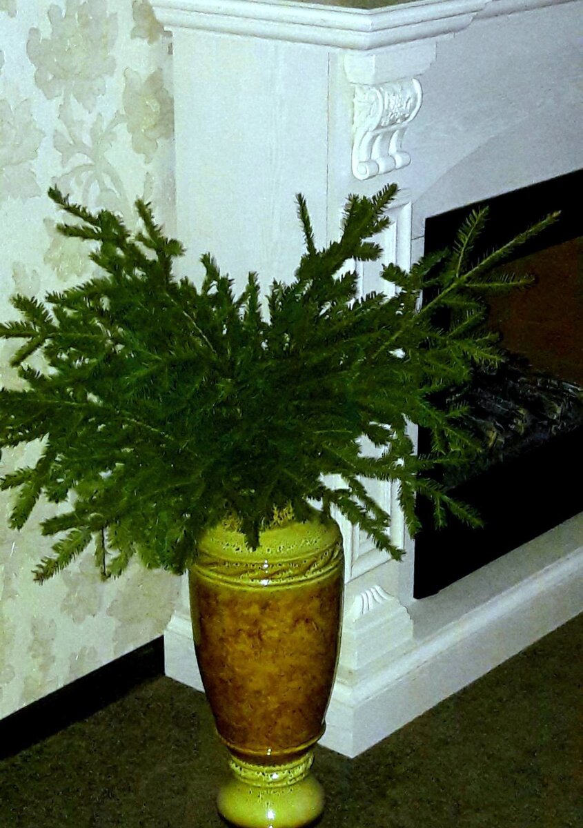 Еловый букет из свежих веток. Ставлю в напольную вазу с водой. Долго стоит такой букет и не осыпается. Фото автора канала 