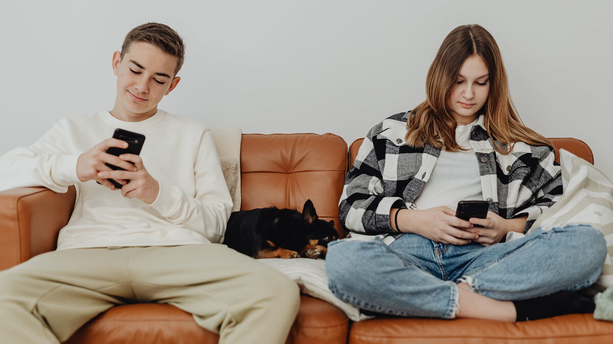 По данным опросов, значительное число владельцев домашних животных относятся к своим питомцам почти как к детям. Фото Karolina Grabowska/Pexels