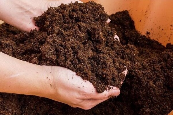 подготовка участка под газон. подготовленный грунт. подготовка почвы. посев семян. посадка рассады в грунт.