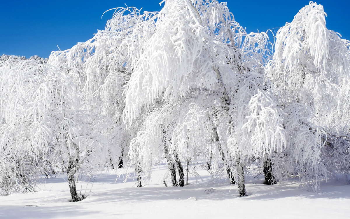 https://gagaru.club/uploads/posts/2023-02/1676249083_gagaru-club-p-snezhnaya-krasivaya-zima-vkontakte-54.jpg