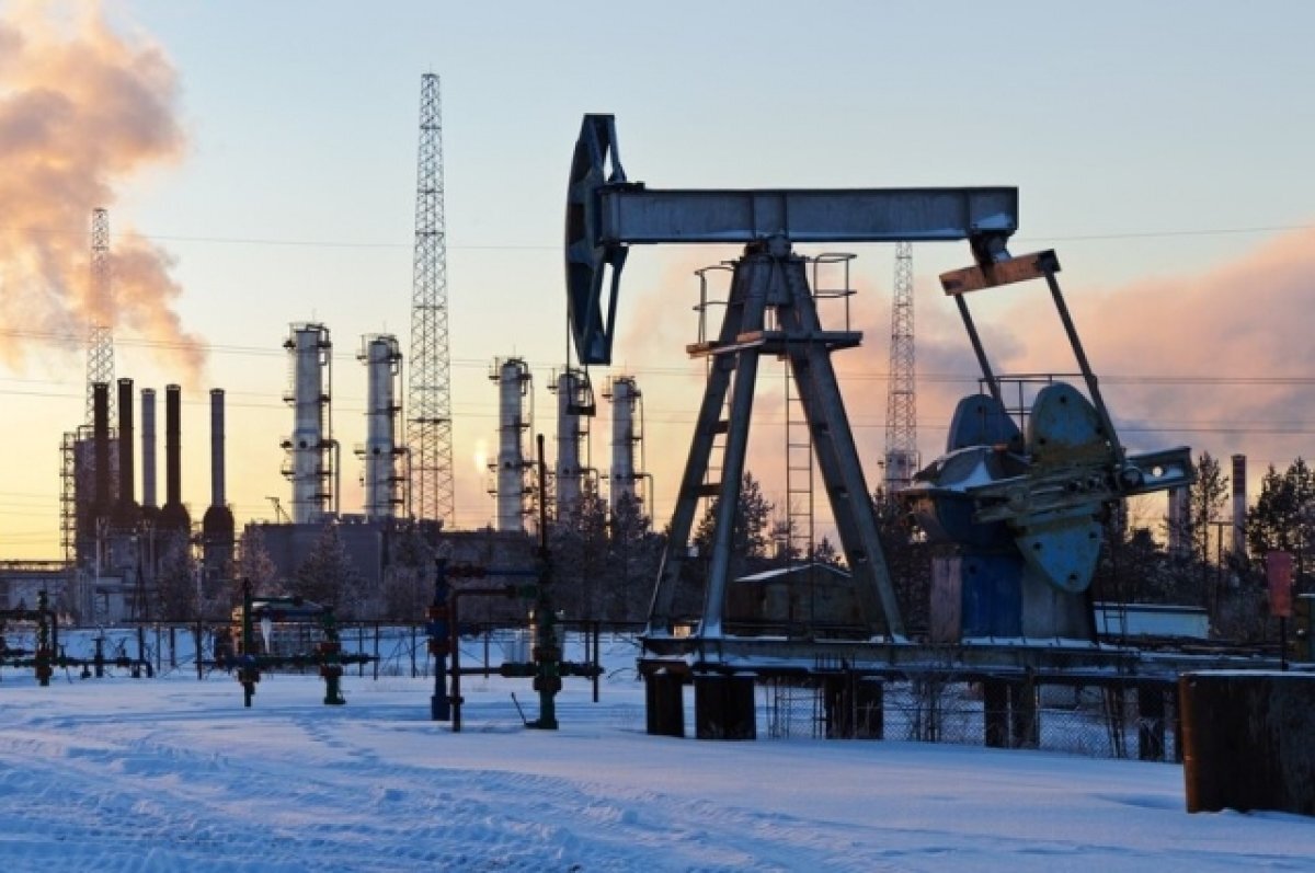   Интересная находка была возле мест добычи нефти.