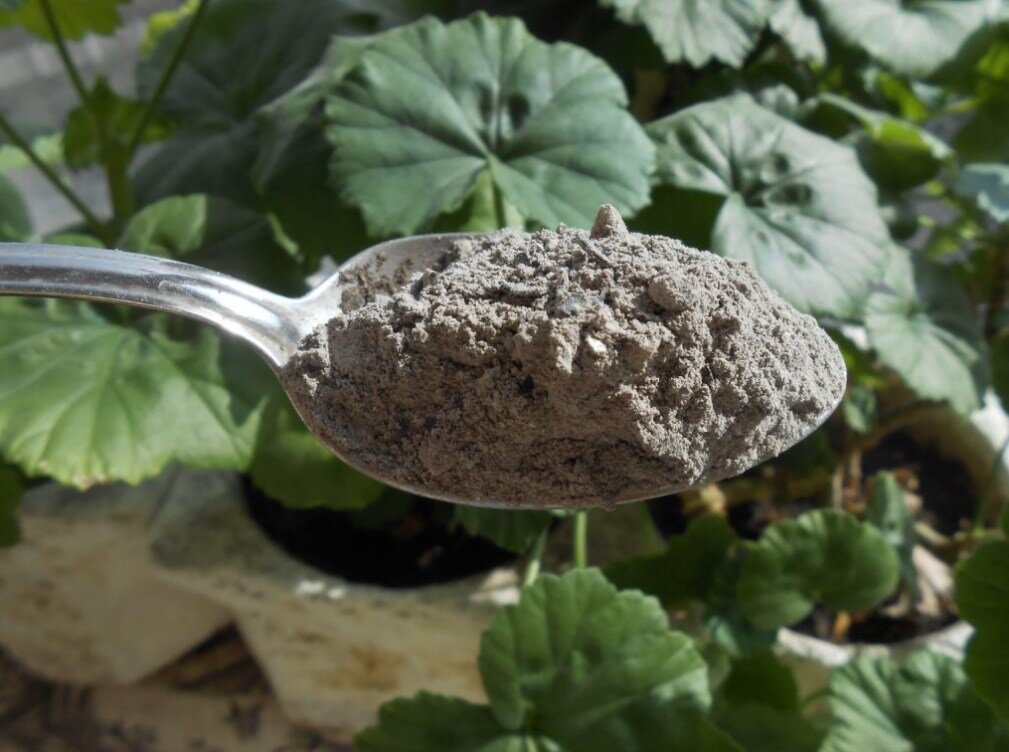 Это средство подкормки нравится многим растениям