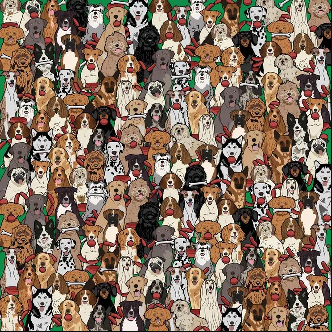 Найдите собаку, которой достались сосиски!