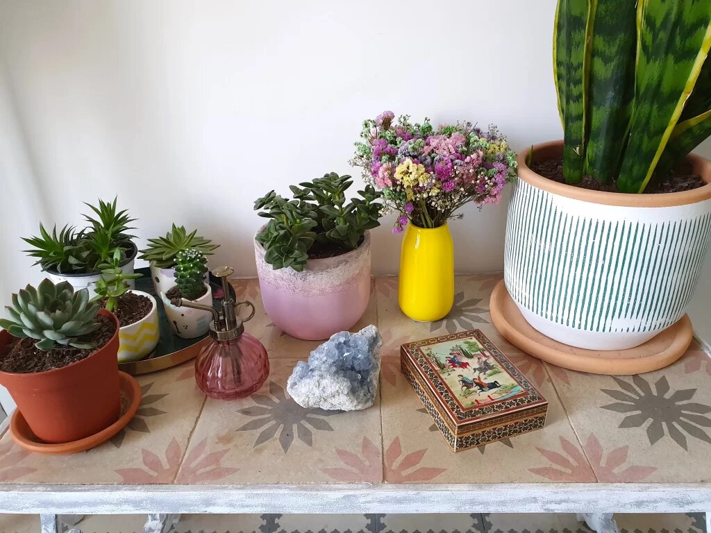 Чем отличаются кашпо от цветочного горшка | SadBlog | Дзен