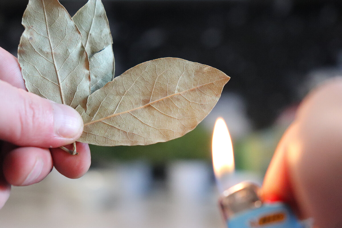 ЭТУ хитрость знают единицы! Попробуй на себе! Подожги лавровый лист и ...