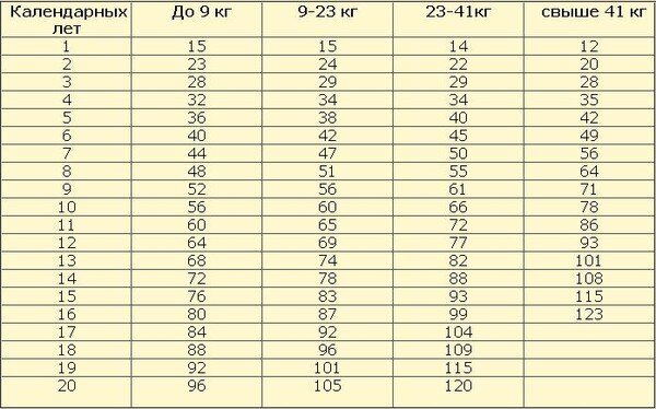 Собака по человеческим меркам таблица. Таблица возраста собак мелких пород. Таблица соотношения возраста собаки к возрасту человека. Возраст собаки по человеческим меркам таблица. Таблица определения возраста собаки.