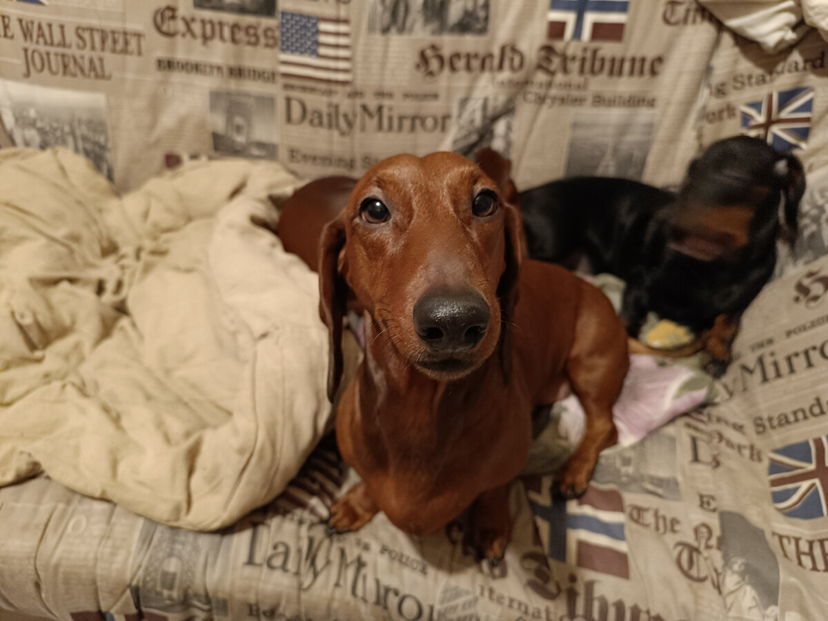 Спа-си-тииии... Па-мА-ги-тииии