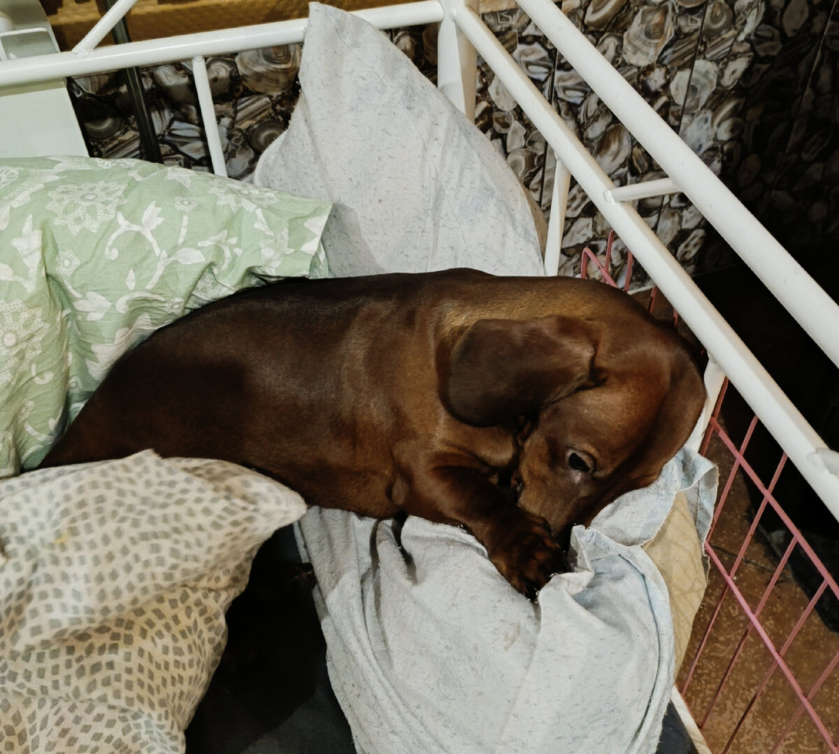 Делает вид, что ей стыдно