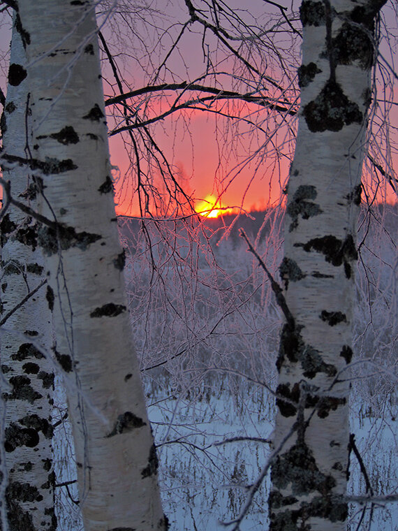 Костер пылает.