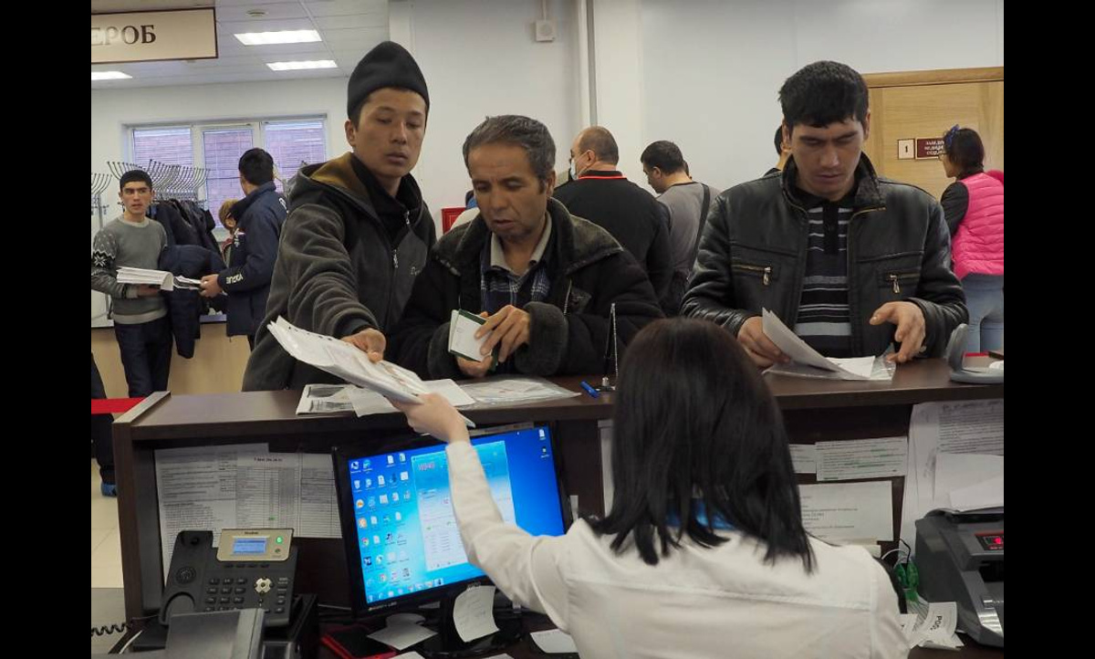 социальная работа с мигрантами в россии. патент для иностранных граждан. где работают иностранные граждане. иностранные студенты. иностранные граждане.