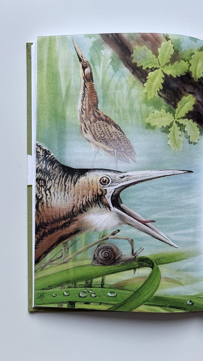 Рассказы и сказки о животных. Оформление П. Летягина. Издательство "Эксмодетство" 