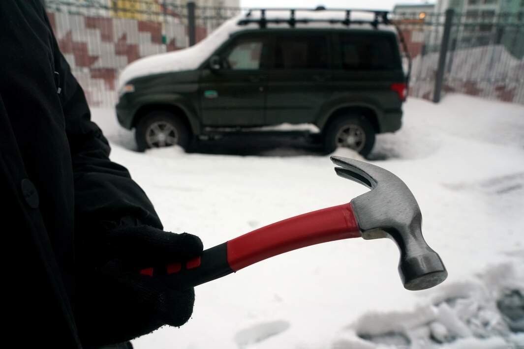 Фото: ИЗВЕСТИЯ/Павел Волков