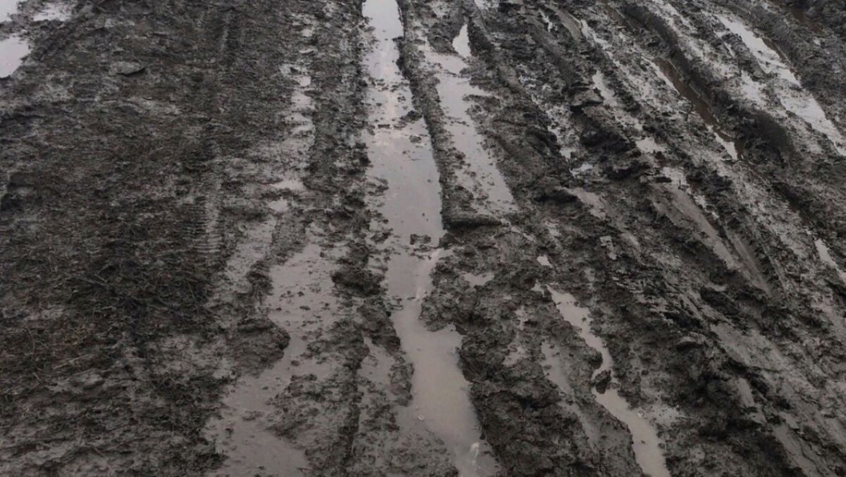    Жители села Нижняя Грайворонка Курской области пожаловались на ужасное состояние дороги