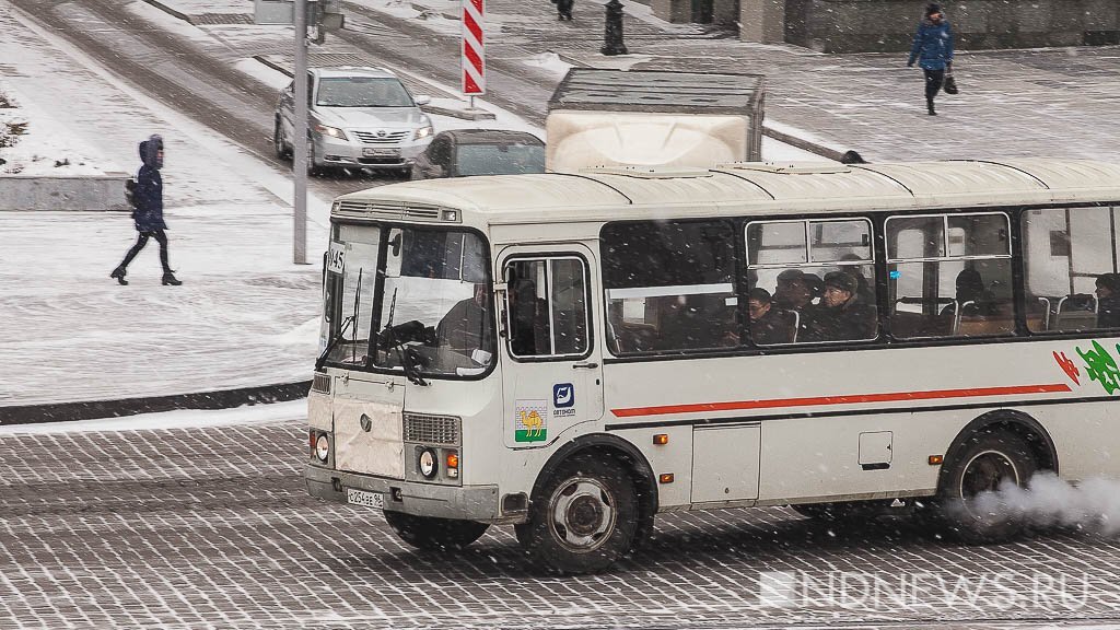 Узнать где автобус курган. ПАЗИКИ Курган. Автобус Курган. Автобус Екатеринбург. Автобус Курган Екатеринбург.